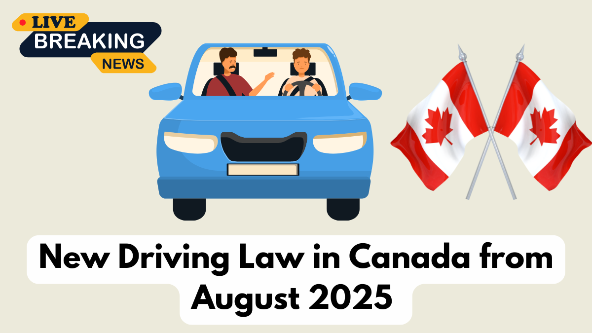 New Driving Law in Canada from August 2025 – What Every Motorist Must Know