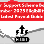 Silver Support Scheme Boost – September 2025 Eligibility and Latest Payout Guide