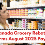 $234 Canada Grocery Rebate – CRA Confirms August 2025 Payment