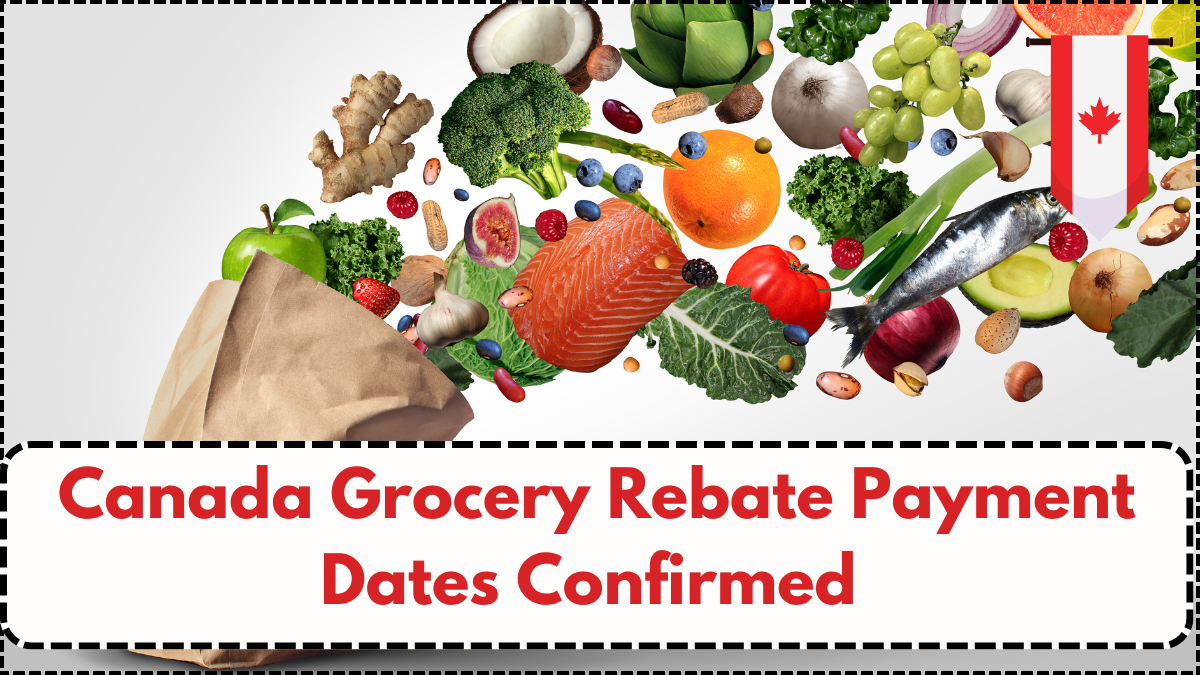 Canada Grocery Rebate Payment Dates Confirmed – September 2025 Update