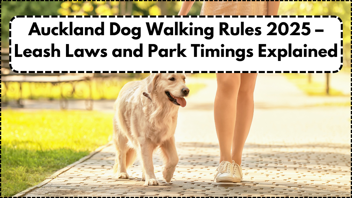 Auckland Dog Walking Rules 2025 – Leash Laws and Park Timings Explained